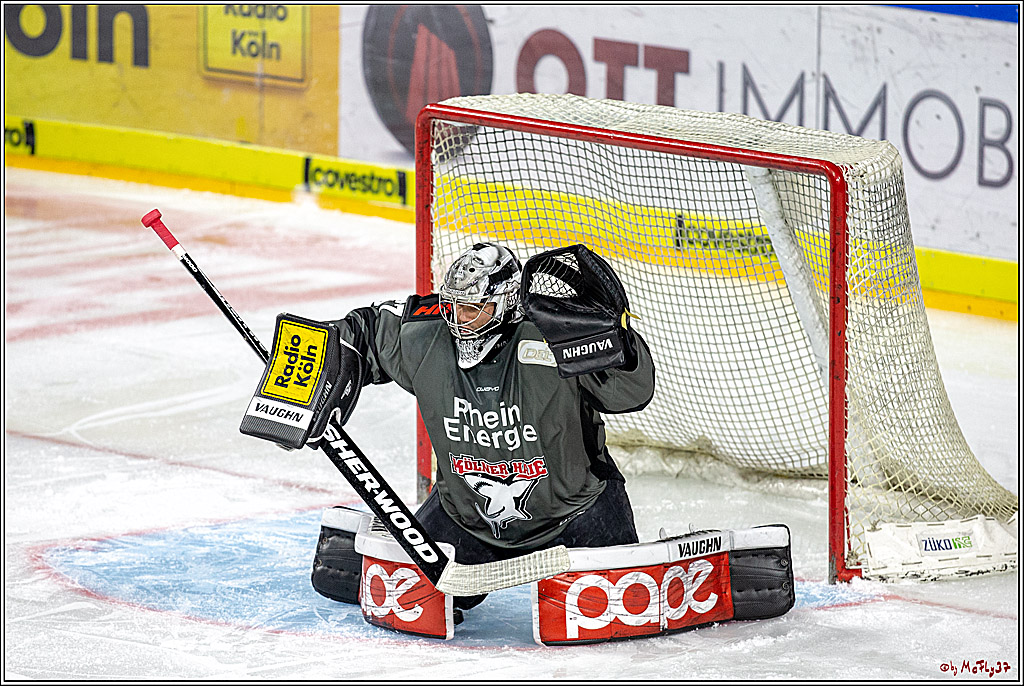 DEL; Koelner Haie - Thomas Sabo Ice Tigers, 28.11.2018